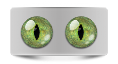 Звериные_20166