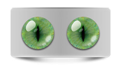 Звериные_20168