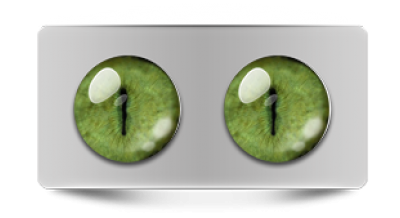 Звериные_20169