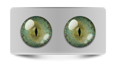 Звериные_20173