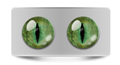 Звериные_20175