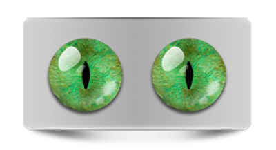 Звериные_20176