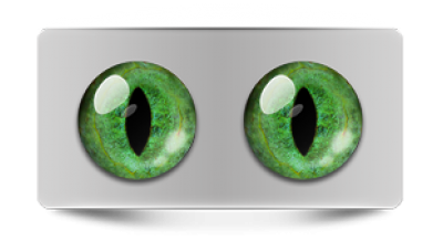 Звериные_20177