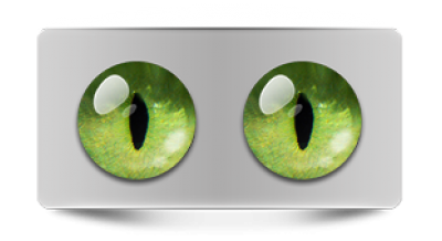 Звериные_20181