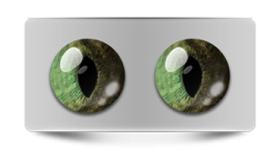 Звериные_20184