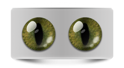 Звериные_20186