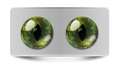 Звериные_20187