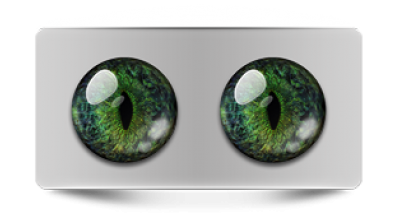 Звериные_20188