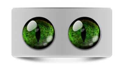 Звериные_20190