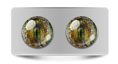 Звериные_20191