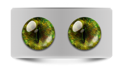 Звериные_20192