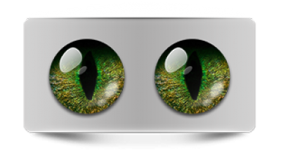 Звериные_20193