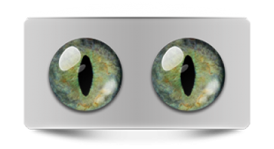 Звериные_20195