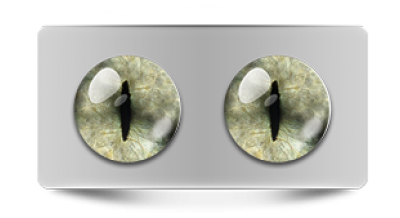 Звериные_20196