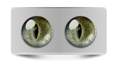 Звериные_20197