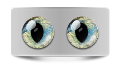 Звериные_20199