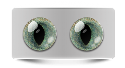 Звериные_20202