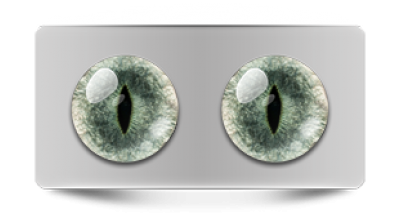 Звериные_20203