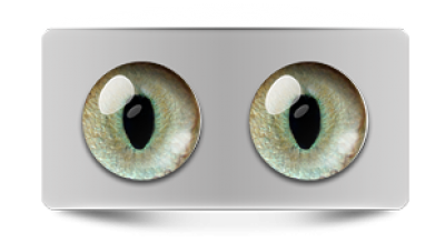 Звериные_20204