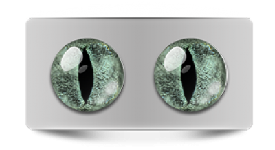 Звериные_20206