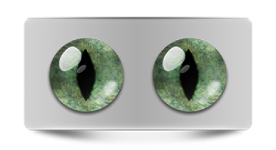 Звериные_20207