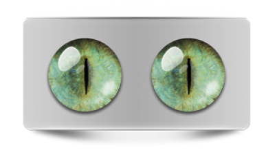 Звериные_20208