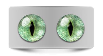 Звериные_20209