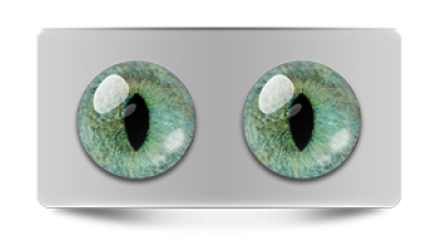 Звериные_20214