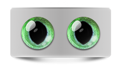 Звериные_20217