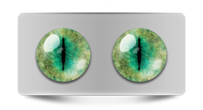 Звериные_20219