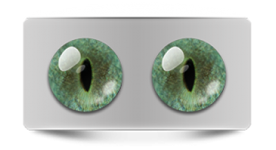 Звериные_20221