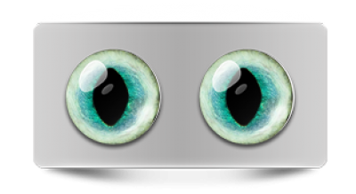 Звериные_20222