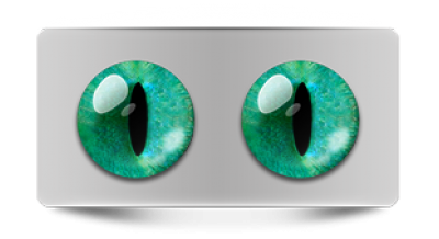 Звериные_20223