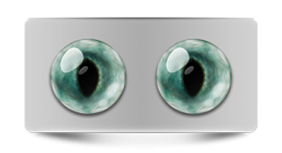 Звериные_20225