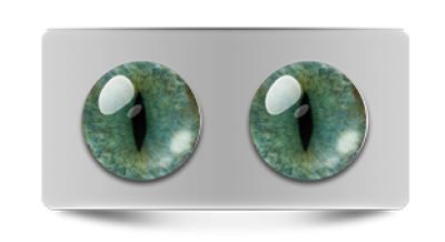 Звериные_20226