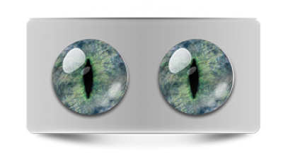 Звериные_20227