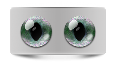 Звериные_20228