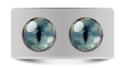 Звериные_20230