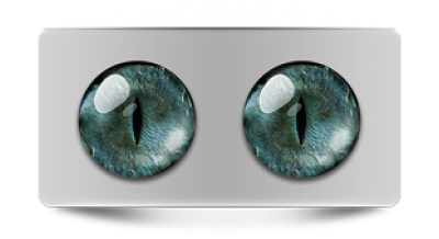 Звериные_20231