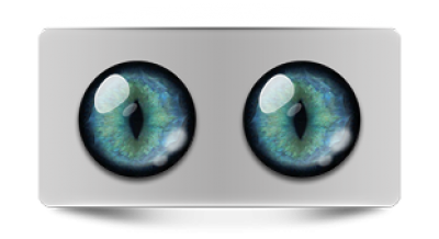 Звериные_20233