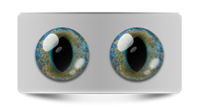 Звериные_20236