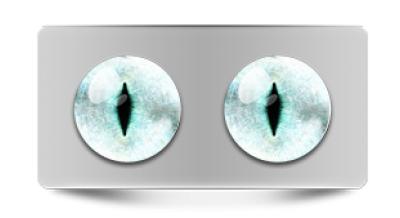 Звериные_20237