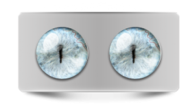 Звериные_20240