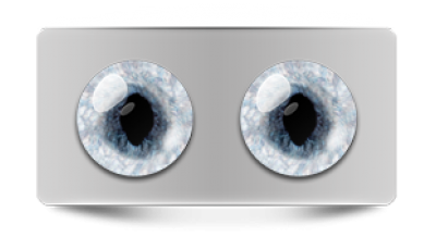 Звериные_20241