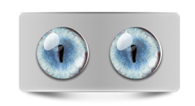 Звериные_20242