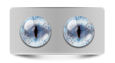 Звериные_20243