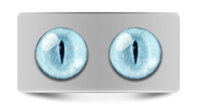 Звериные_20246