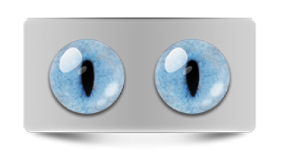 Звериные_20247