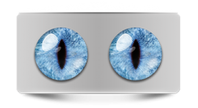 Звериные_20248