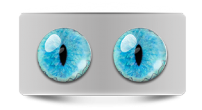 Звериные_20251